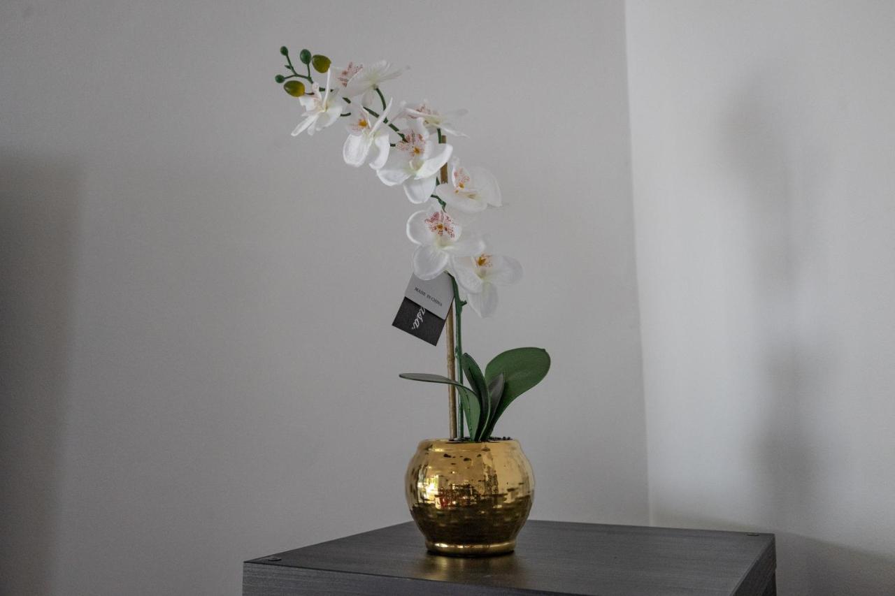 London - 4 Bed - Sleeps 8 - Garden - Pet Friendly Villa Bagian luar foto